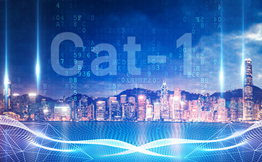 工信部重磅發(fā)文，Cat-1/NB-IoT再次站上新風(fēng)口