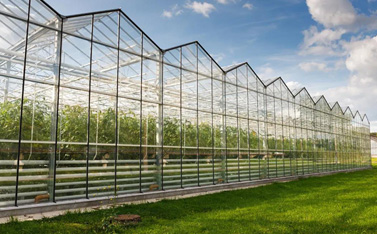 因?yàn)橐粓鼍C藝備受關(guān)注，智慧大棚到底有多神奇